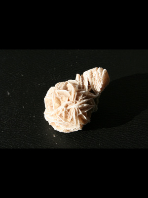Rosa del Deserto