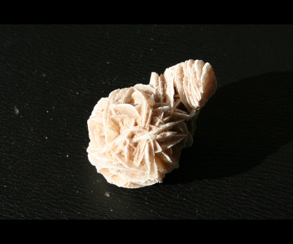 Rosa del Deserto